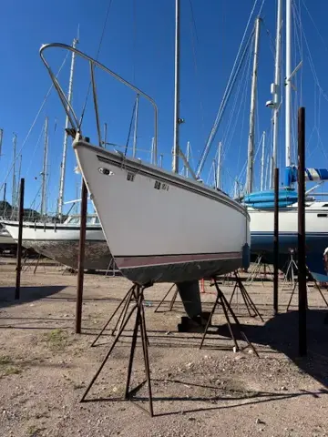Ziggy 1979 Catalina 25ft Sailboat